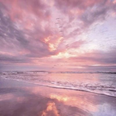 乐鱼APP手机app下载截图